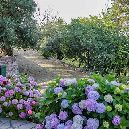 Sinies Stone - Ne Corfu