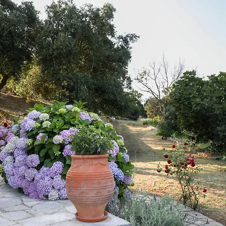 Sinies Stone - Ne Corfu * Agnitsini